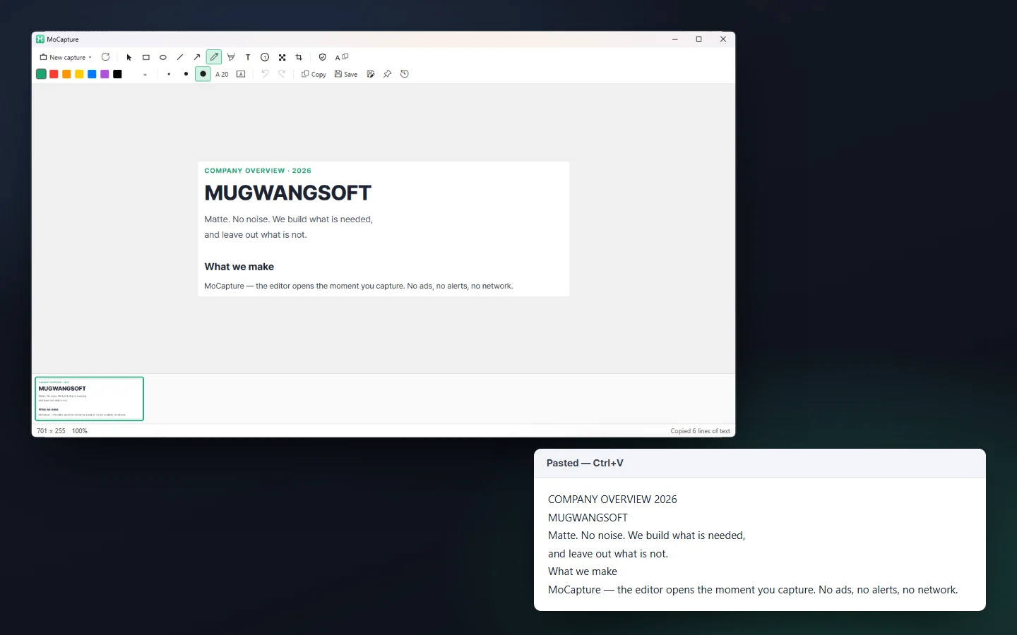 The editor with a captured company overview, and the text it copied, pasted as it came out